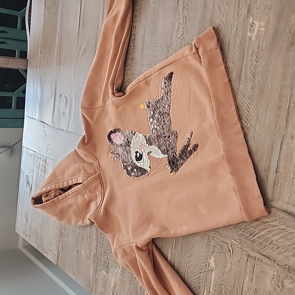 Toddler girls hooded sweatshirt